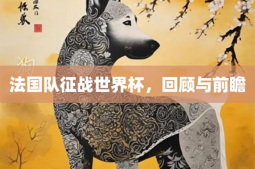 法国队漯河市盈旭机械设备有限公司征战世界杯，回顾与前瞻