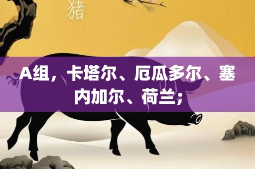 A组，卡塔尔、厄瓜多尔、塞内加尔、荷兰；