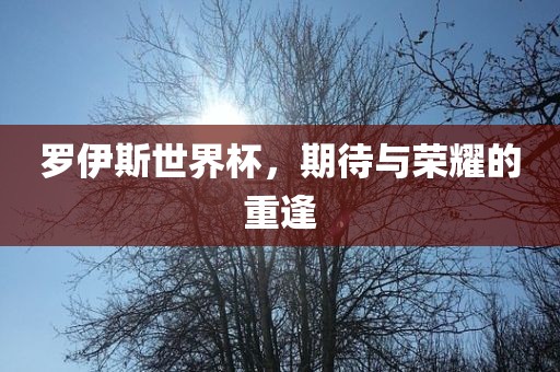 罗伊斯世界杯，期待与荣耀的重逢