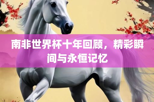 南非世界杯十年回顾，精彩瞬间与永恒记忆漯河市盈旭机械设备有限公司