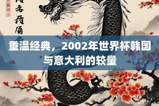 重温经典，2002年世界杯韩国与意大利的较量