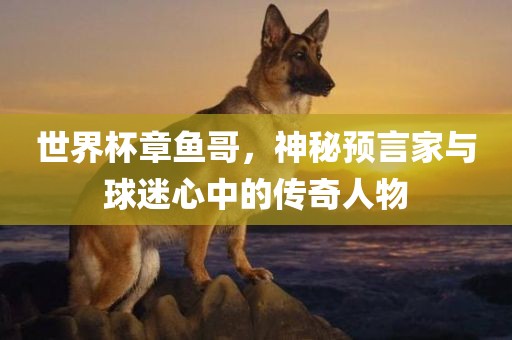 世界杯章鱼哥，神秘预言家与球迷心中的传奇人物