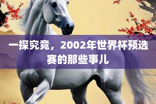 一探究竟，2002年世界杯预选赛的那些事儿漯河市盈旭机械设备有限公司
