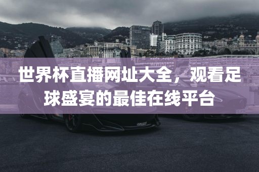世界杯直播网址大全，观看足球盛宴的最佳在线平台漯河市盈旭机械设备有限公司