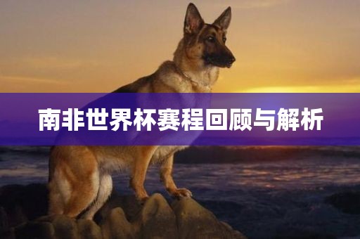 南非世界杯赛程回顾与解析
