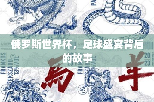 俄罗斯世界杯，足球盛宴背后的故事