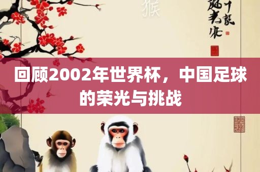 回顾2002年世界杯，中国足球的荣光与挑战