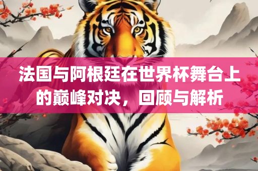 法国与阿根廷在世界杯舞台上的巅峰对决，回顾与解析漯河市盈旭机械设备有限公司