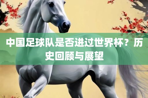 中国足球队是否进过世界杯？历史回顾与展望