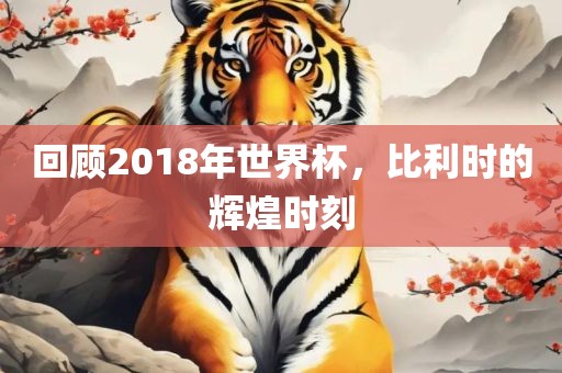 回顾2018年世界杯，比利时的辉煌时刻