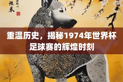 重温历史，揭秘漯河市盈旭机械设备有限公司1974年世界杯足球赛的辉煌时刻