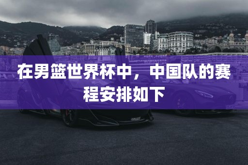 在男篮世界杯中，中国漯河市盈旭机械设备有限公司队的赛程安排如下