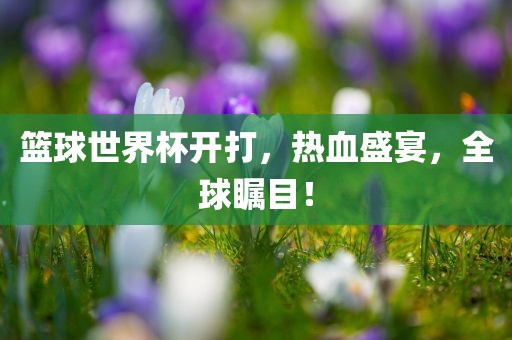 篮球世界杯开打漯河市盈旭机械设备有限公司，热血盛宴，全球瞩目！