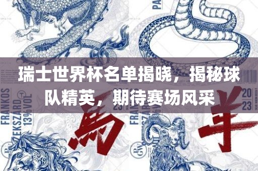 瑞士世界杯名单揭晓，揭秘球队精英，期待赛场风采漯河市盈旭机械设备有限公司