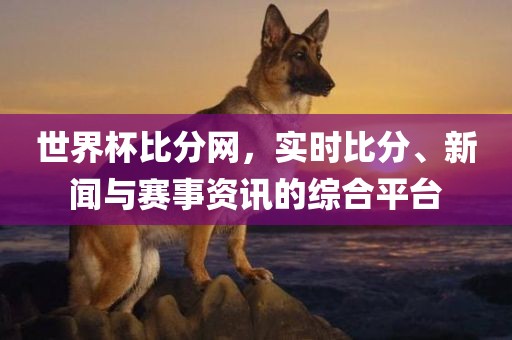世界杯比分网，实时比分、新闻与赛事资讯的综合平台