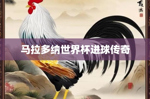 马拉多纳世界杯进球传奇漯河市盈旭机械设备有限公司