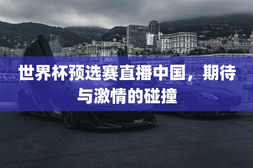 世界杯预选赛直播中国，期待与激情的碰撞