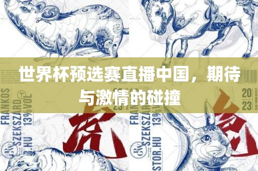 世界杯预选赛直播中国，期待与激情的碰撞