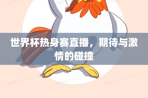 世界杯热身赛直播，期待与激情的碰撞