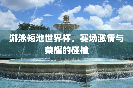 游泳短池世界杯，赛场激情与荣耀的碰撞