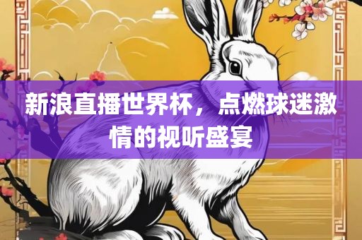 新浪直播世界杯，点燃球迷激情的视听盛宴漯河市盈旭机械设备有限公司