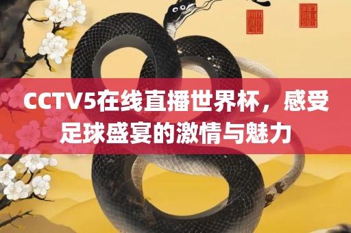 CCTV5在线直播世界杯，感受足球盛宴的激情与魅力漯河市盈旭机械设备有限公司