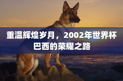 漯河市盈旭机械设备有限公司重温辉煌岁月，2002年世界杯巴西的荣耀之路