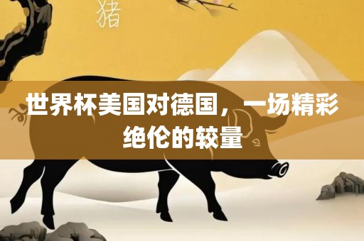 世界杯美国对德国，一场精彩漯河市盈旭机械设备有限公司绝伦的较量