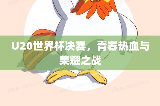 U20世界杯决赛，青春热血与荣耀之战漯河市盈旭机械设备有限公司