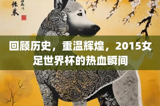 回顾历史，重温辉煌，2015女足世界杯的热血瞬间漯河市盈旭机械设备有限公司