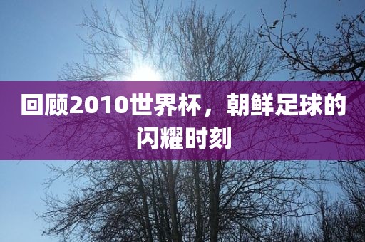 回顾2010世界杯，朝鲜足球的闪耀时刻