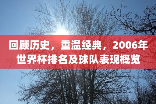 回顾历史，重温经典，2006年世界杯排名及球队表现概览