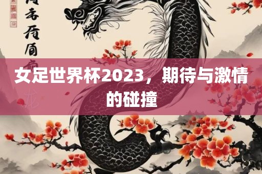 女足世界杯2023，期待与激情的碰撞漯河市盈旭机械设备有限公司