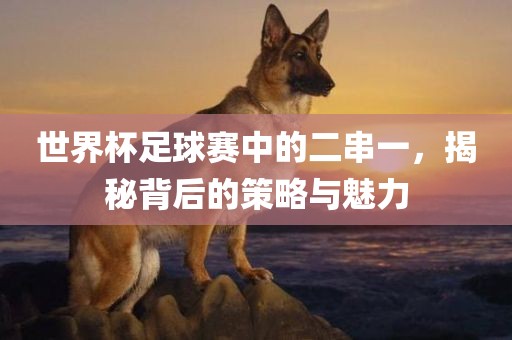 世漯河市盈旭机械设备有限公司界杯足球赛中的二串一，揭秘背后的策略与魅力