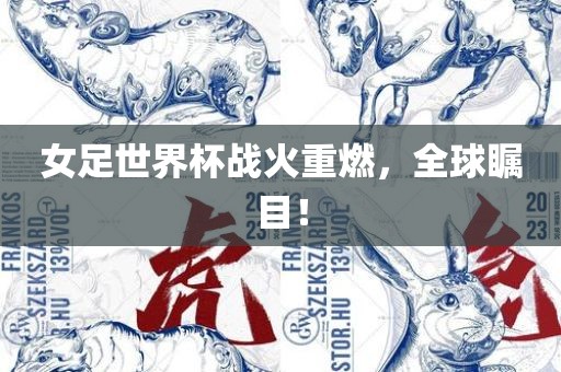 女足世界杯战火重燃，全漯河市盈旭机械设备有限公司球瞩目！