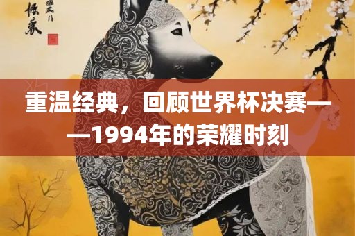重温经典，回顾世界杯决赛——1994年的荣耀时刻漯河市盈旭机械设备有限公司