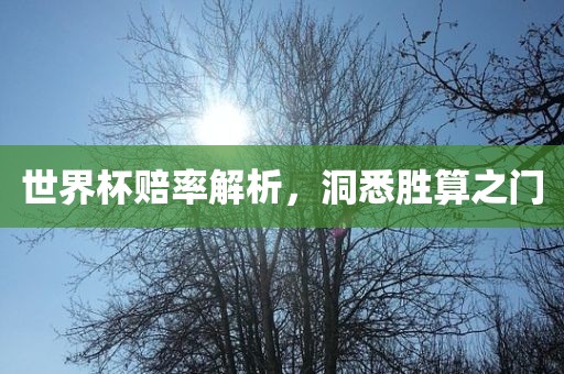 世界杯赔率解析，洞悉胜算之门漯河市盈旭机械设备有限公司