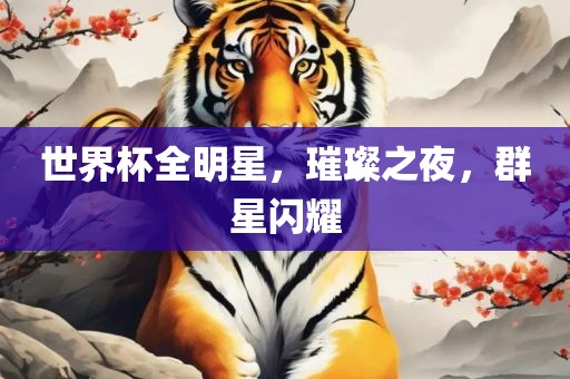 世界杯全明星，璀璨之夜，群星闪耀