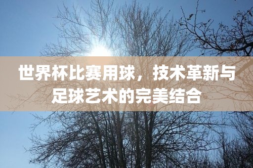 世界杯比赛用球，技术革新与足球艺术的完美结合漯河市盈旭机械设备有限公司
