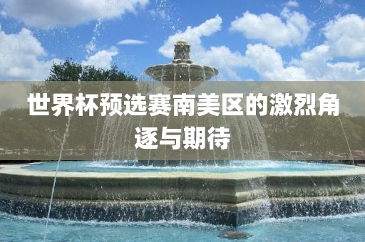 世界杯预选赛南美区的激烈角逐与期待漯河市盈旭机械设备有限公司