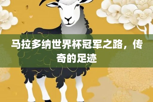 马拉多纳世界杯冠军之路，传奇的足迹