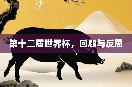 第十二届世界杯，回顾与反思