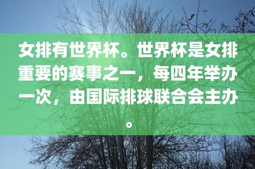 女排有世界杯。世界杯是女排重要的赛事之一，每四年举办一次，由国际排球联合会主办。