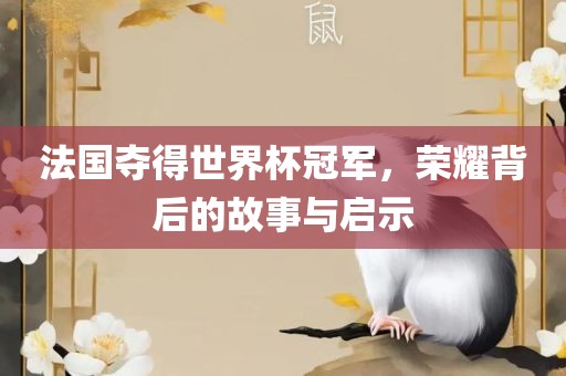 法国夺得世界杯冠军，荣耀背后的故事与启示