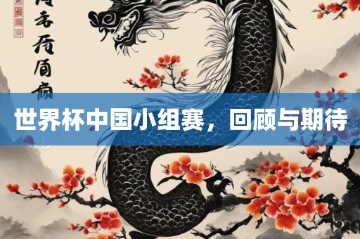 世界杯中国小组赛，回顾与期待