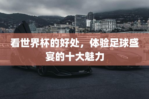 看世界杯的好处漯河市盈旭机械设备有限公司，体验足球盛宴的十大魅力