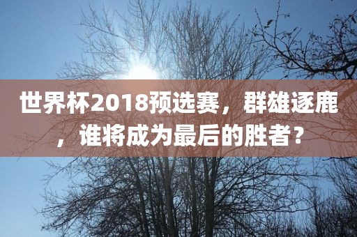 世界杯2018预选赛，群雄逐鹿，谁将成为最后的胜者？