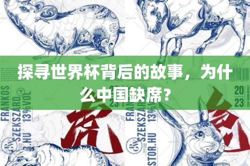 探寻世界杯背后的故事，为什么中国缺席？