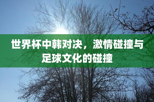 世界杯中韩对决，激情碰撞与足球文化的碰撞