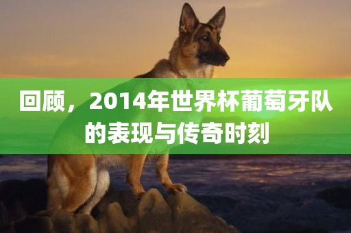 回顾，2014年世界杯葡萄牙队的表现与传奇时刻